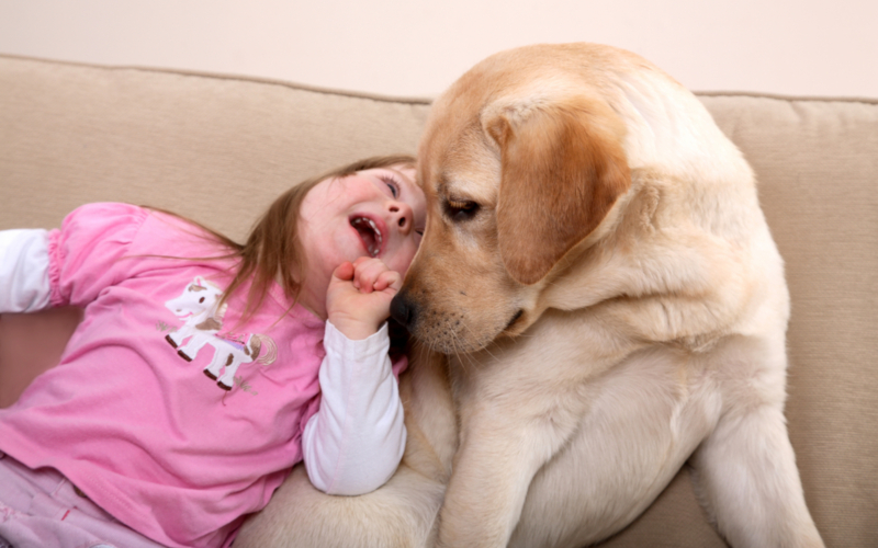 Pet Therapy as an Alternative Therapy