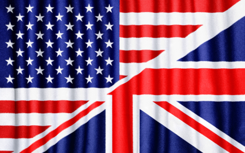 Greener Across the Pond? Exploring Special Needs Differences Between the US & UK
