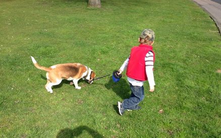 Three Ways Having a Dog Really Worked for our Autistic Son