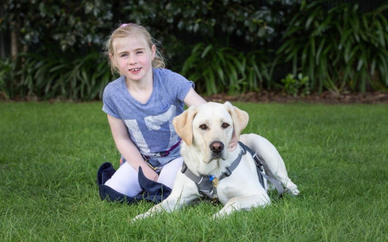 The Decision to Get an Assistance Dog was a Big One